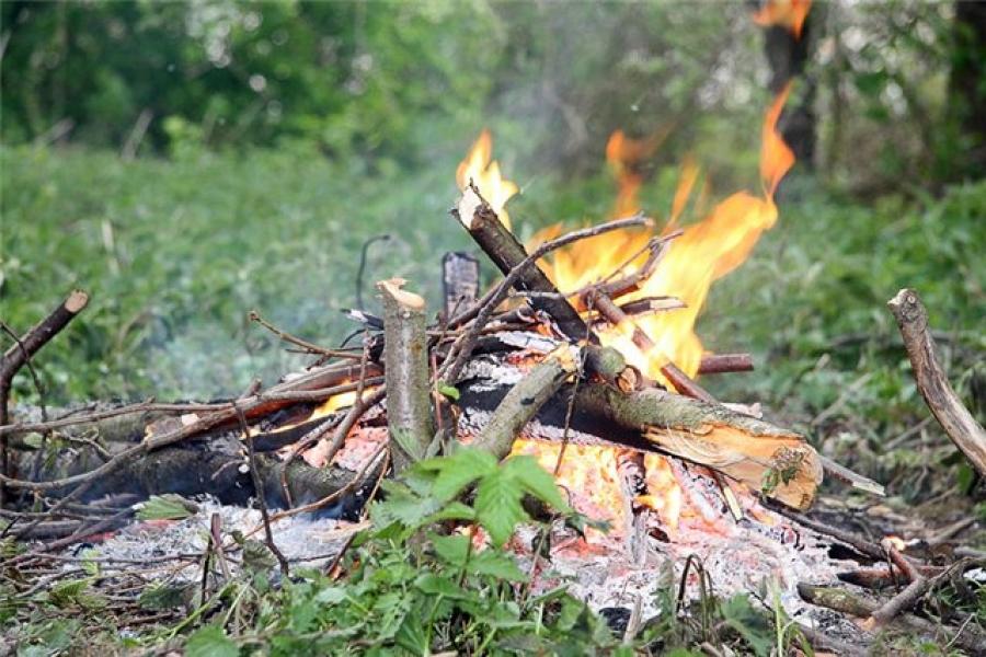 Правила пожарной безопасности на природе
